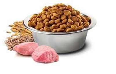 تصویر غذای خشک N&D مخصوص توله سگ حاوی مرغ و انار 800 گرمی MINI