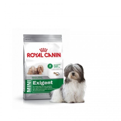 تصویر غذای خشک مغزدار Royal Canin مخصوص سگ های بدغذای نژاد کوچک - ۸۰۰گرمی