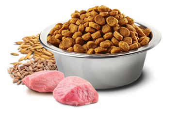 تصویر غذای خشک N&D مخصوص سگ بالغ نژاد کوچک حاوی مرغ و انار - 2.5 کیلو گرم MINI