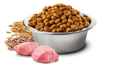 تصویر غذای خشک N&D مخصوص سگ بالغ حاوی گوشت بره و بلوبری 2.5 کیلوگرم MINI
