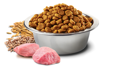 تصویر غذای خشک N&D مخصوص گربه بالغ حاوی مرغ و انار - 5 کیلوگرم