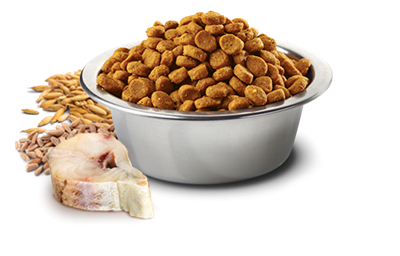 تصویر غذای خشک N&D مخصوص گربه بالغ حاوی ماهی کد و پرتغال - 1.5 کیلوگرم