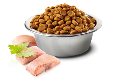 تصویر غذای خشک N&D بدون غلات مخصوص گربه بالغ حاوی ماهی کد و پرتغال 300 گرم