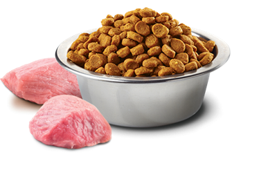 تصویر غذای خشک N&D بدون غلات مخصوص گربه بالغ حاوی گوشت گراز و سیب 1.5 کیلوگرم