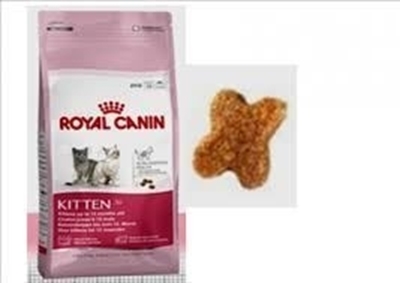 تصویر غذای خشک Royal Canin مخصوص بچه گربه - ۴ کیلوگرم