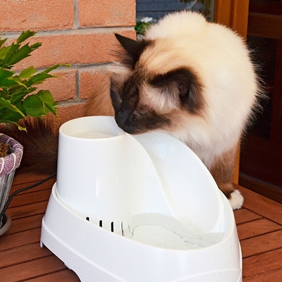 تصویر ظرف آب برقی و تصفیه آب Ferplast برای گربه و سگ مدل Vega Pet Fountain
