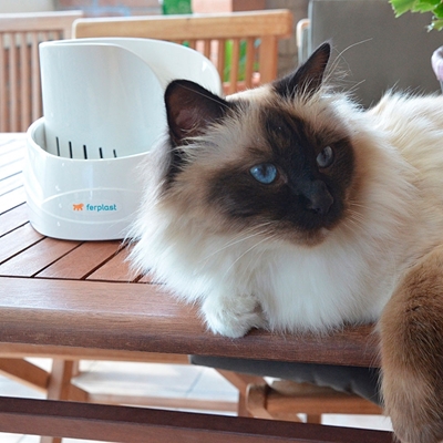 تصویر ظرف آب برقی و تصفیه آب Ferplast برای گربه و سگ مدل Vega Pet Fountain