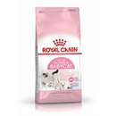 تصویر غذای خشک Royal Canin مخصوص نوزاد گربه و مادر شیرده - ۲ کیلوگرم
