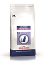 تصویر غذای خشک Royal canin مدل NEUTERED YOUNG MALE مخصوص گربه نر عقیم شده تا 7 سال - 1.5 کیلوگرمی