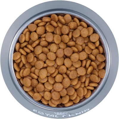 تصویر غذای خشک Royal Canin مدل URINARY S/O مخصوص سگ بالغ نژاد کوچک مبتلا به سنگ های ادراری - 1.5 کیلوگرم