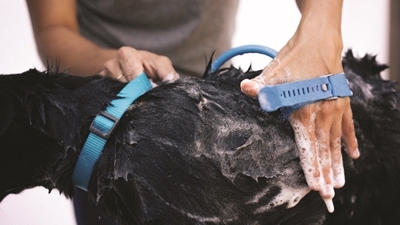 تصویر  برس شستشو حمام Pet Bathing Tool مخصوص سگ و گربه