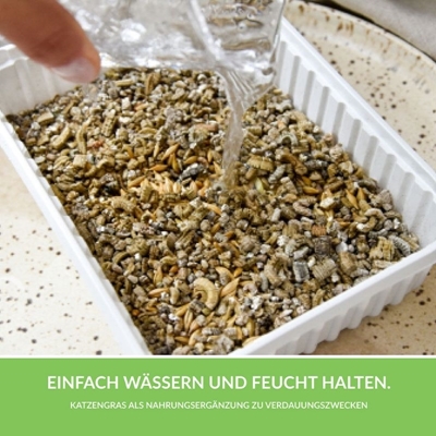 تصویر  علف مخصوص گربه GimCat مدل Soft Grass حاوی ويتامين - بسته 100 گرمی