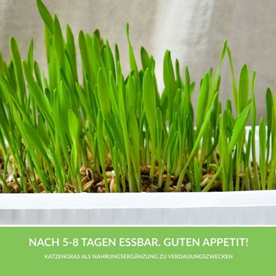 تصویر  علف مخصوص گربه GimCat مدل Soft Grass حاوی ويتامين - بسته 100 گرمی