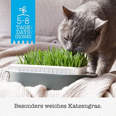 تصویر  علف مخصوص گربه GimCat مدل Soft Grass حاوی ويتامين - بسته 100 گرمی